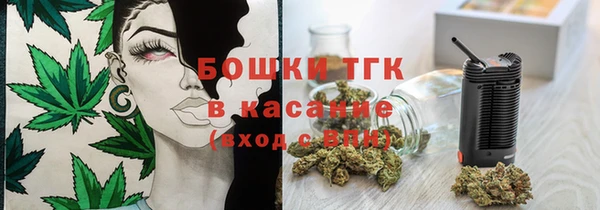 индика Балахна
