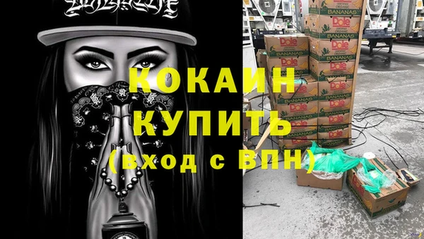 индика Балахна