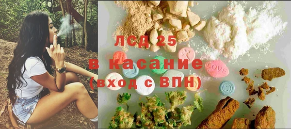 индика Балахна