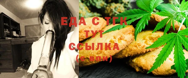 индика Балахна