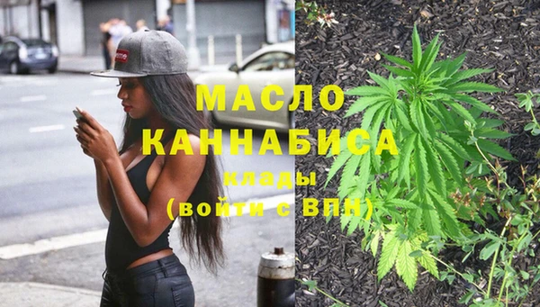 индика Балахна