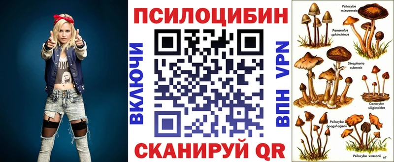 Купить  Благовещенск  Галлюциногенные грибы Magic Shrooms 